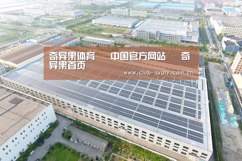 案例展示二