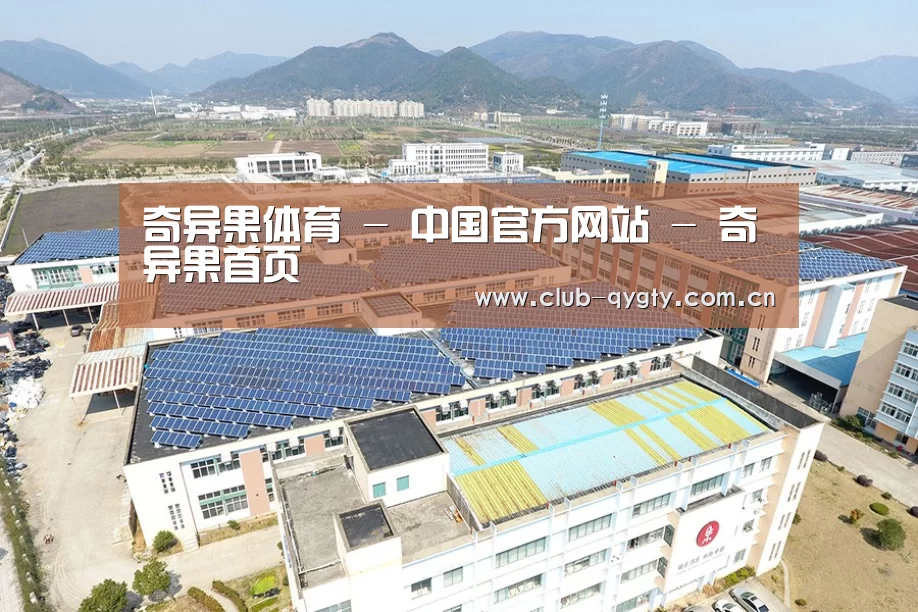 案例展示四
