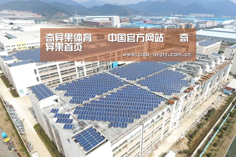 案例展示二