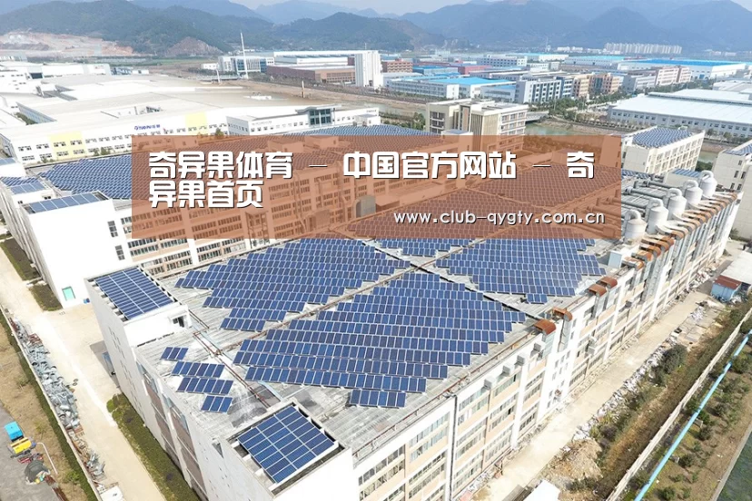 案例展示四