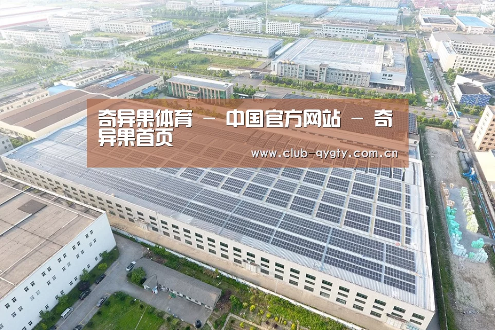 案例展示二