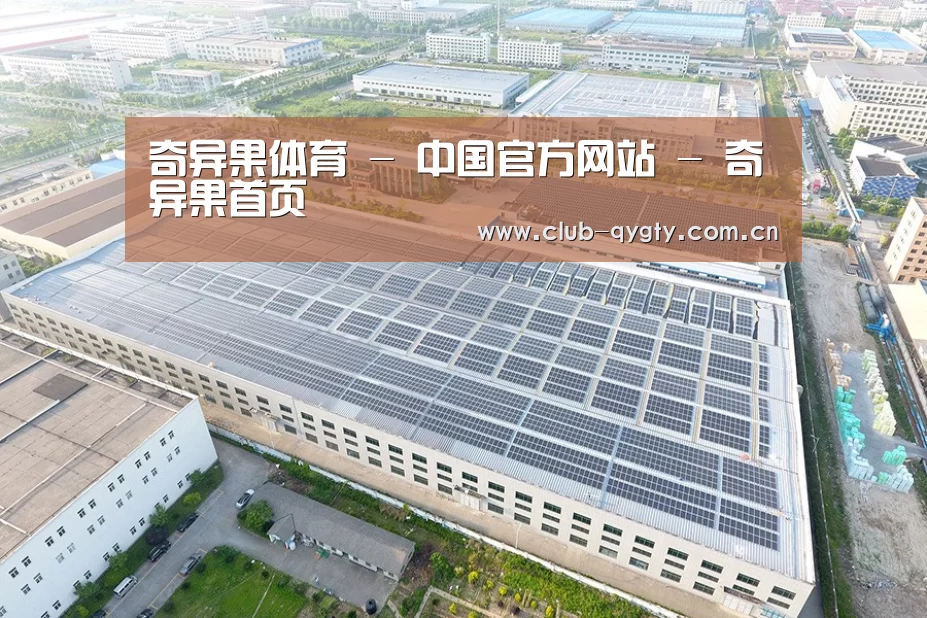 案例展示三