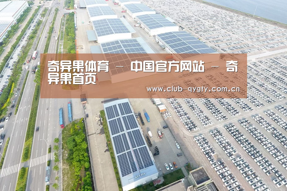 案例展示一