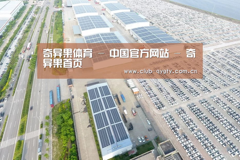 案例展示四