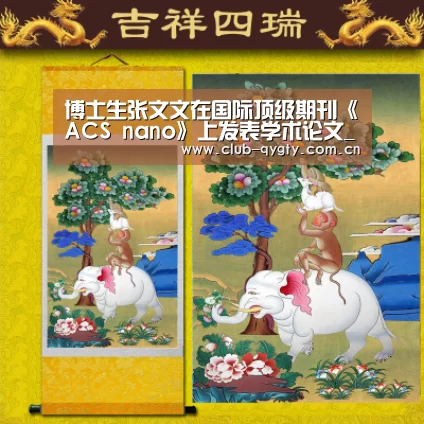 博士生张文文在国际顶级期刊《ACS nano》上发表学术论文_奇异果体育平台入口(图3) 奇异果体育平台